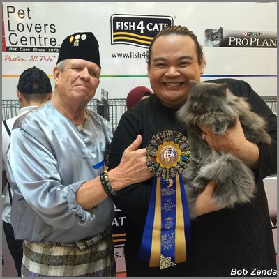 Babyelle - Best HH Pet